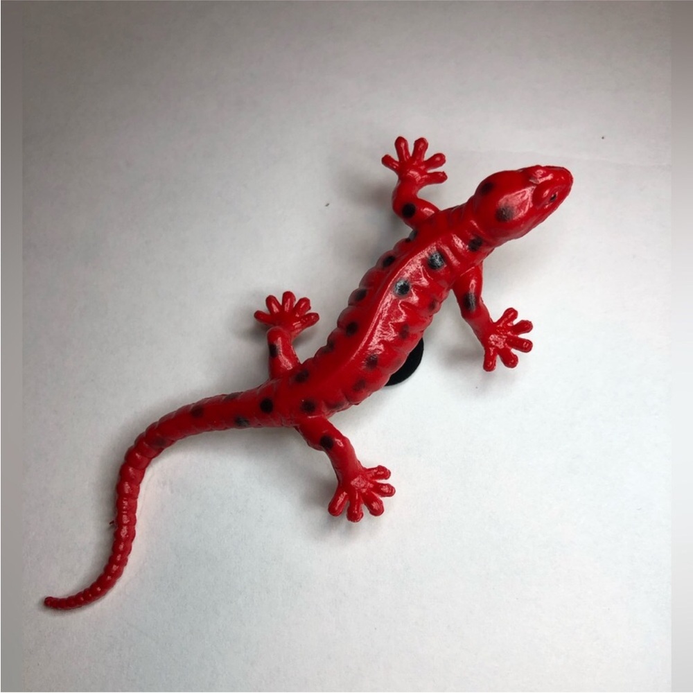 Lizard Shoes Charm